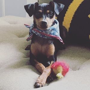 Meet your Posher, Deborah